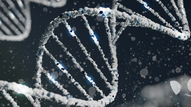 Visualisation 3d d'un génome d'ADN