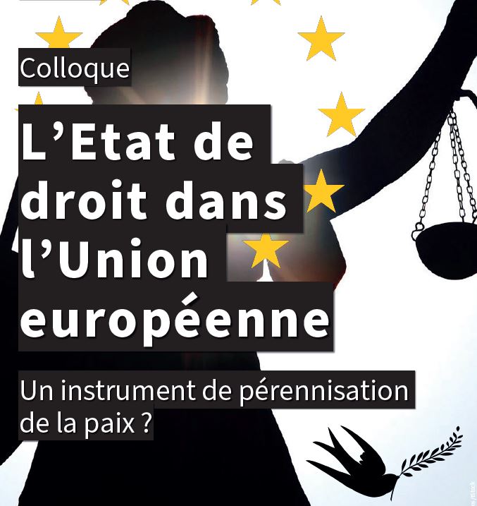 Visuel Etat de droit